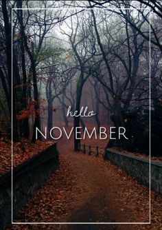 a path in the woods with leaves on it and text overlaying that reads hello november