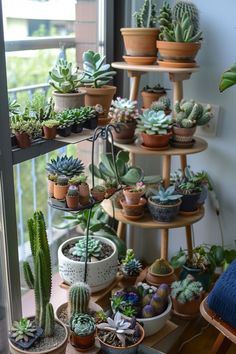 many potted plants are arranged on the shelves