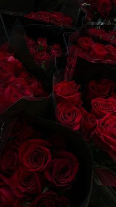 large bouquets of red roses in black boxes