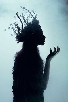 the silhouette of a woman with long hair and branches on her head is shown against a foggy sky