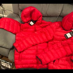 Beautiful Champion Puffer Coats Red Winter Outdoor Outerwear, Hooded Red Puffer Jacket For Outdoors, Red Hooded Puffer Jacket For Outdoor, Casual Red Winter Outerwear, Casual Red Outerwear For Outdoor, Casual Red Puffer Jacket For Outdoor, Red Puffer Jacket With Pockets, Casual Red Outerwear For Cold Weather, Red Hooded Puffer Jacket With Pockets