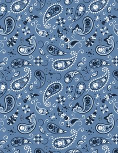 a blue and white paisley print fabric