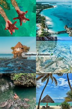 #aesthetic #zanzibar #travel #travelling #traveltips #tanzania #vacation #africa #travelboard #visionboard Travel To Tanzania, Zanzibar Beaches Pictures, Travel Aesthetic Africa, Africa Travel Aesthetic, Places To Travel In Africa, Vacation Africa, Zanzibar Aesthetic