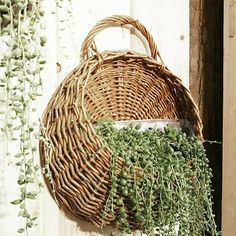 a wicker basket hanging on the side of a building with plants growing in it