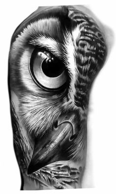 an owl with big eyes is shown in black and white