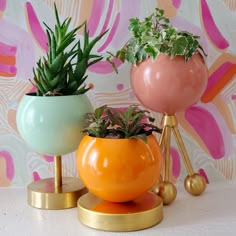 Bright pink, Bright blue, and black Loa planter trio against floral blue, green, and pink floral wallpaper Window Sill Plants, Birthday Party Props, Apartment Decoration, Sazerac, Mediterranean Blue, Raised Planter, Small Planter, Sputnik Chandelier, Plant Collection