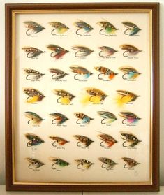 an image of fishing lures displayed in a frame