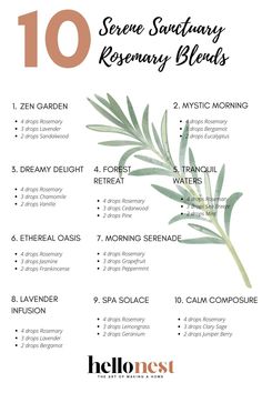 30 Rosemary Diffuser Blends To Scent Your Space | Hello Nest Rosemary Diffuser Blends, Calm And Peace, Candle Scents, Diy Aromatherapy