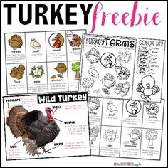 turkey freebie printables for kids and adults