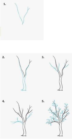 how to draw a tree without leaves