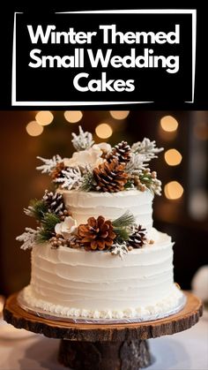 a white wedding cake with pine cones on top and the words winter themed small wedding cakes