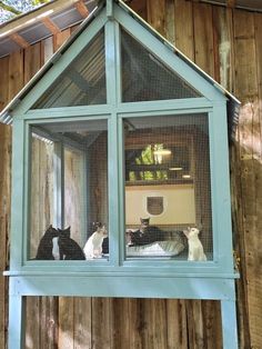 several cats are sitting in the window of a house