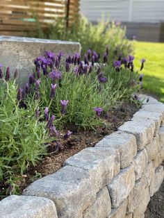 purple flowers are growing in the middle of a stone planter and retaining block wall