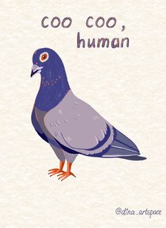 a bird with the words coo coo, human on it