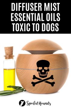 Do you use an essential oil diffuser and have a dog? Some essential oils can be harmful or fatal for dogs to breathe. Keep your dog safe and get the list of diffuser essential oils toxic to dogs. Learn which essential oils are safe for diffusing around your pet. #diffuser #dogsafety Essential Oils Bad For Dogs Diffuser, Toxic Oils For Dogs, Essential Oils That Are Bad For Dogs, Essential Oils Pets Safety, What Essential Oils Are Bad For Dogs, Essential Oils Bad For Dogs, Dog Safe Essential Oil Diffuser Blends