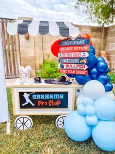 balloons and signs are on display in the grass