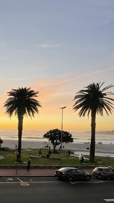 cars parked on the side of a road next to palm trees and beach at sunset