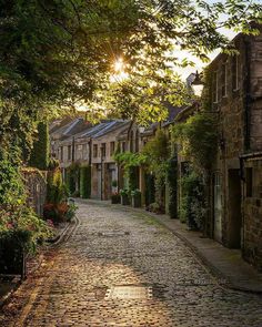 a cobblestone street with trees and buildings on either side in the sun setting