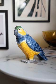 a blue and yellow parrot sitting on top of a table next to a framed photograph