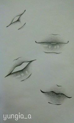 four different types of eyes drawn in pencil