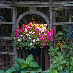 colorful flowers are hanging from a potted planter