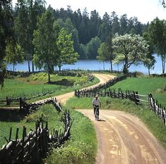 a man riding a bike down a dirt road next to a lush green field and lake