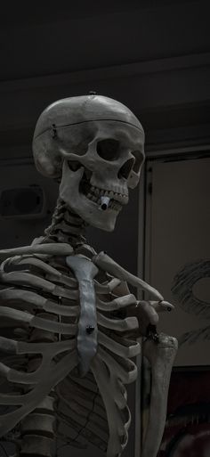 a skeleton is standing in the dark