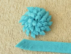 a blue flower sitting on top of a carpet