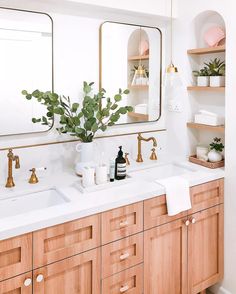 a bathroom with two sinks, mirrors and plants on the counter top in front of it