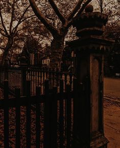 an old cemetery gate and tree with leaves on the ground in front of it at dusk