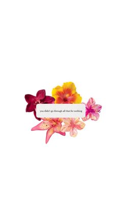 three colorful flowers with a quote on it