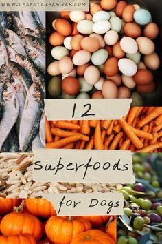 an assortment of food that includes eggs, carrots and other vegetables with the words 12 superfoods for dogs