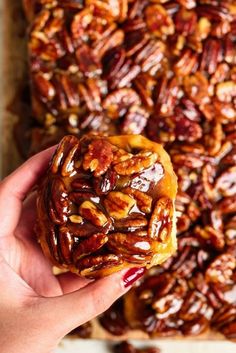 a hand holding a pecan nut in front of a tray of pecan nuts