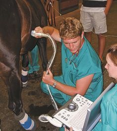 a man in blue scrubs his face next to a brown horse while two women look on