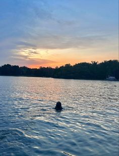 a person is swimming in the water at sunset or dawn with trees in the background