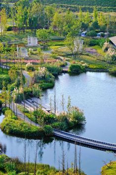 a river running through a lush green forest filled with lots of trees and bushes next to a bridge