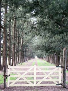 an open gate in the middle of a tree lined path that leads to a park