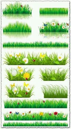 the grass and flowers are in different stages of growth, from green to yellow with butterflies