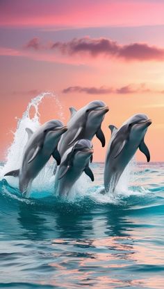 three dolphins jumping out of the water at sunset