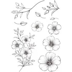 some flowers and leaves are drawn in black ink