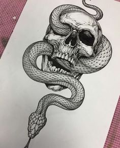 a drawing of a skull with a snake wrapped around it