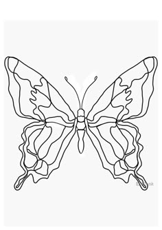 the outline of a butterfly is shown in black and white, with lines on it