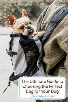 the ultimate guide to choosing the perfect bag for your dog is in this article,