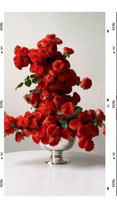 a white table topped with a vase filled with red flowers