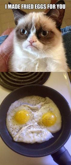 two fried eggs in a frying pan with caption that reads, i made fried eggs for you