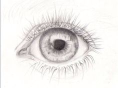 a pencil drawing of an eye