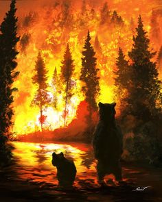 two bears are standing in front of a fire that is burning through the trees and water