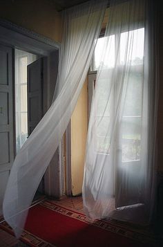 an open window with white curtains and a red rug