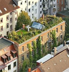 an aerial view of buildings and rooftops with plants growing on the roof, in front of them