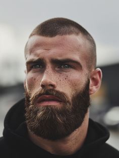 Buzzcut And Beard, Tapered Beard, Buzz Cut With Beard, Shaved Head With Beard, Blonde Beard, Simple Hoodie, Mens Hairstyles With Beard, Thick Beard